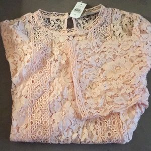 Lace loft top. NWT!